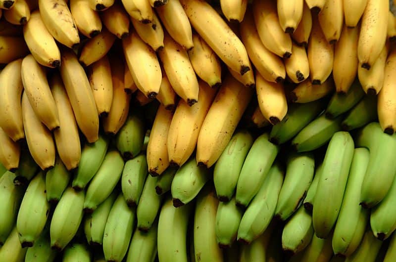 الموز الأصفر الموز الأخضر